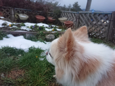 f:id:roukenhome-ann:20190128190311j:plain