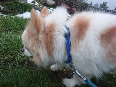 f:id:roukenhome-ann:20190128190318j:plain