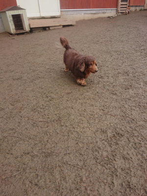 f:id:roukenhome-ann:20190128190330j:plain