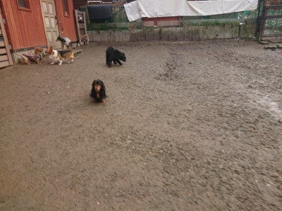 f:id:roukenhome-ann:20190128190358j:plain