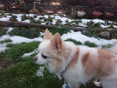 f:id:roukenhome-ann:20190128190430j:plain