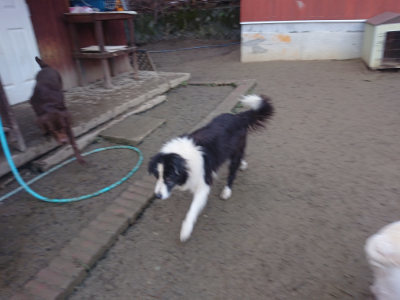 f:id:roukenhome-ann:20190128190657j:plain