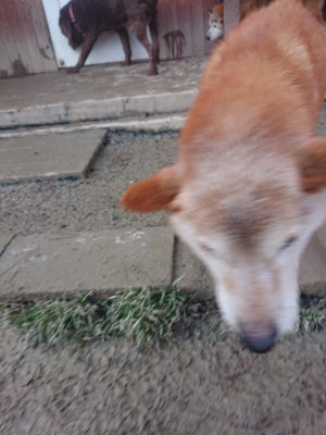 f:id:roukenhome-ann:20190128190715j:plain