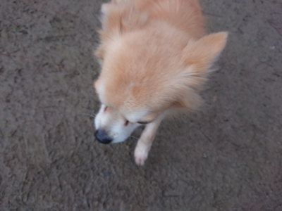 f:id:roukenhome-ann:20190128190800j:plain