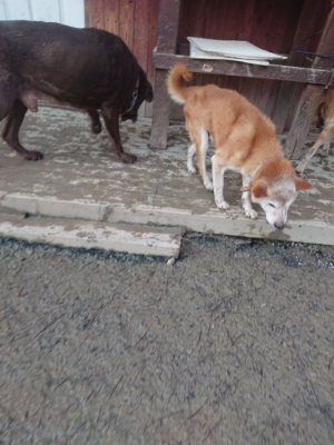f:id:roukenhome-ann:20190128190812j:plain