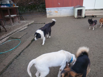 f:id:roukenhome-ann:20190128190934j:plain