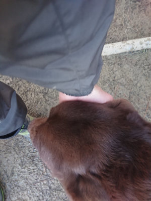f:id:roukenhome-ann:20190128191447j:plain