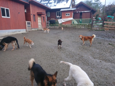 f:id:roukenhome-ann:20190128191537j:plain