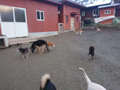 f:id:roukenhome-ann:20190128191631j:plain