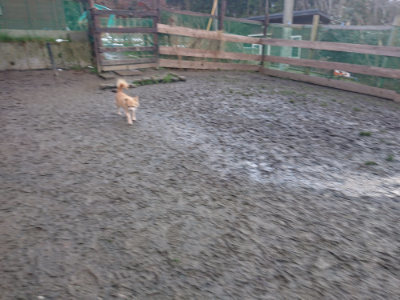 f:id:roukenhome-ann:20190128191909j:plain
