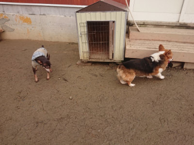 f:id:roukenhome-ann:20190128192416j:plain