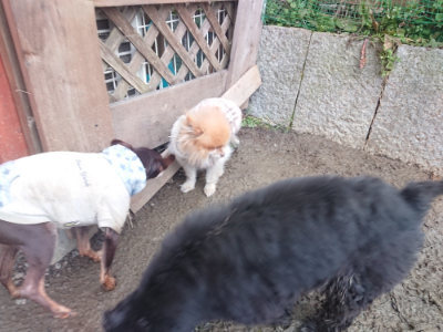 f:id:roukenhome-ann:20190128192452j:plain
