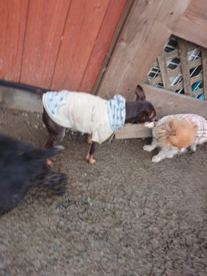 f:id:roukenhome-ann:20190128192458j:plain