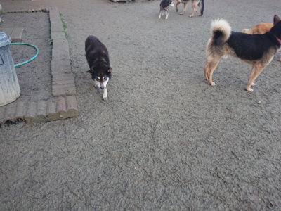 f:id:roukenhome-ann:20190128192722j:plain