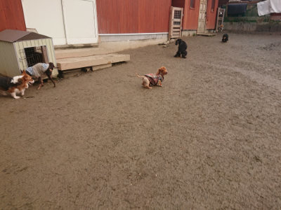 f:id:roukenhome-ann:20190128192830j:plain