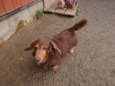 f:id:roukenhome-ann:20190128192846j:plain