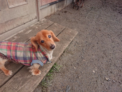 f:id:roukenhome-ann:20190128192908j:plain