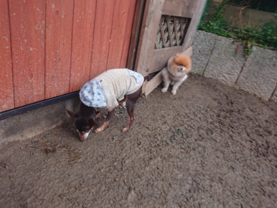f:id:roukenhome-ann:20190128192919j:plain