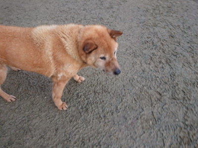 f:id:roukenhome-ann:20190128192937j:plain