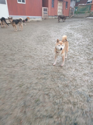 f:id:roukenhome-ann:20190128193812j:plain