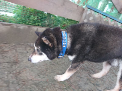 f:id:roukenhome-ann:20190128193829j:plain