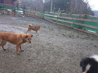 f:id:roukenhome-ann:20190128193916j:plain