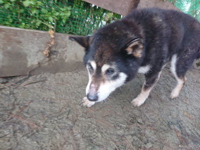 f:id:roukenhome-ann:20190128193928j:plain