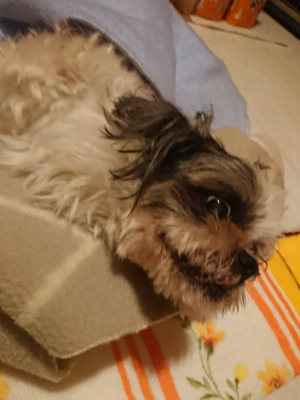 f:id:roukenhome-ann:20190128194006j:plain