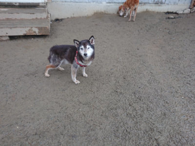 f:id:roukenhome-ann:20190128194023j:plain