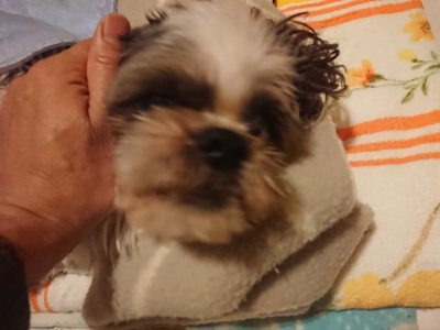 f:id:roukenhome-ann:20190128194150j:plain