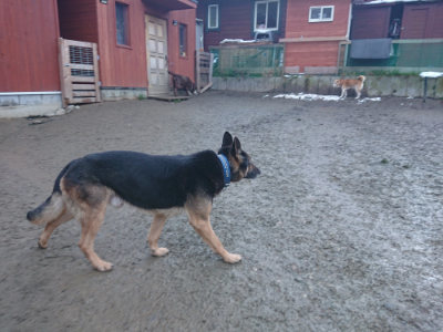 f:id:roukenhome-ann:20190128194212j:plain