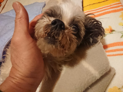 f:id:roukenhome-ann:20190128194236j:plain