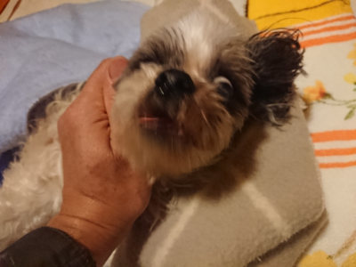 f:id:roukenhome-ann:20190128194241j:plain