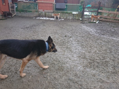 f:id:roukenhome-ann:20190128194259j:plain