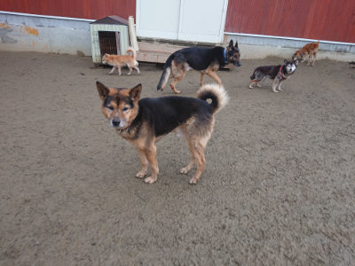 f:id:roukenhome-ann:20190128194336j:plain