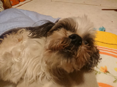 f:id:roukenhome-ann:20190128194346j:plain