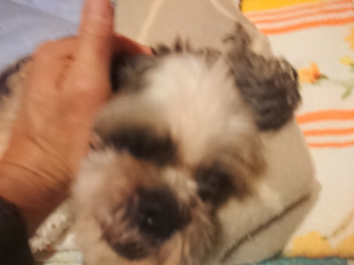 f:id:roukenhome-ann:20190128194354j:plain