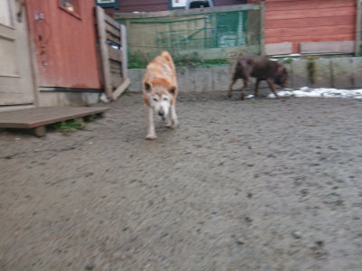 f:id:roukenhome-ann:20190128194741j:plain