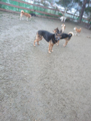 f:id:roukenhome-ann:20190128194830j:plain