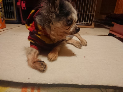 f:id:roukenhome-ann:20190128194911j:plain