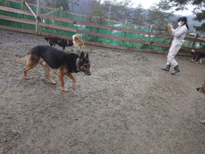 f:id:roukenhome-ann:20190128194925j:plain