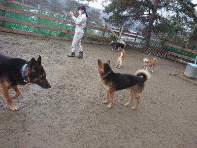 f:id:roukenhome-ann:20190128194930j:plain