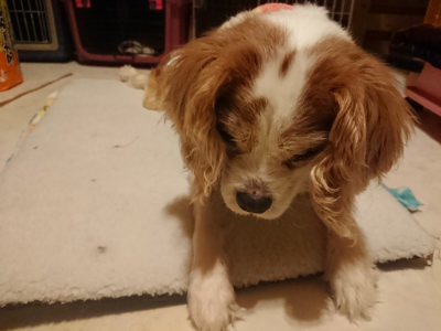 f:id:roukenhome-ann:20190128200234j:plain