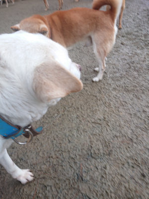 f:id:roukenhome-ann:20190128200242j:plain