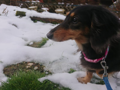 f:id:roukenhome-ann:20190128200248j:plain