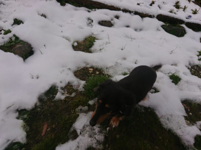 f:id:roukenhome-ann:20190128200254j:plain