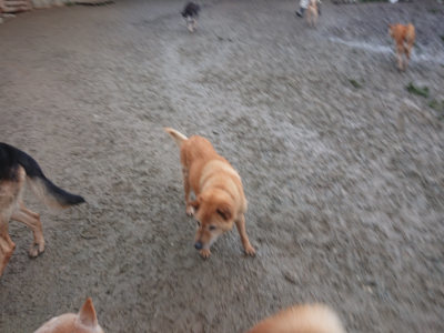 f:id:roukenhome-ann:20190128200313j:plain