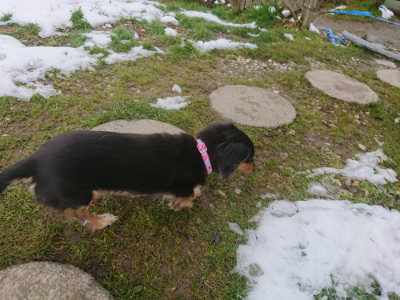 f:id:roukenhome-ann:20190128200325j:plain