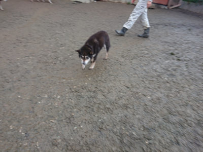 f:id:roukenhome-ann:20190128200344j:plain