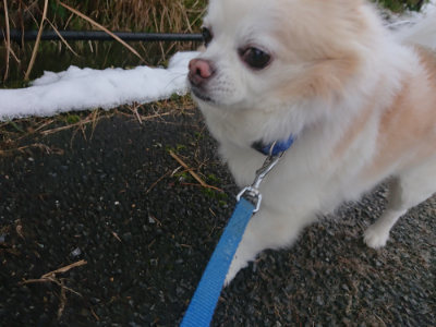 f:id:roukenhome-ann:20190128200412j:plain